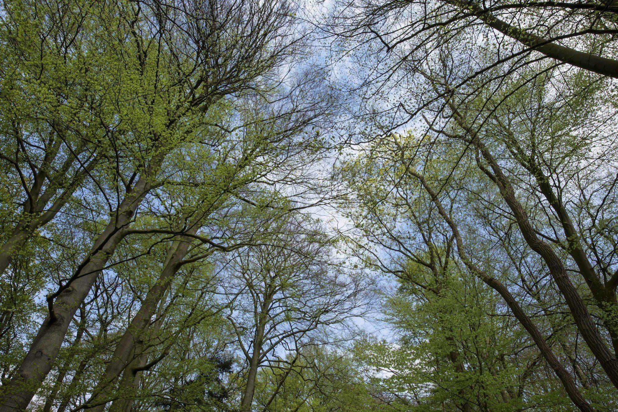 Landgoed De Horst Hotell Driebergen Exteriör bild